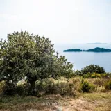 Porto Timoni (Sunset View Point), Corfù - 24 giugno 2023