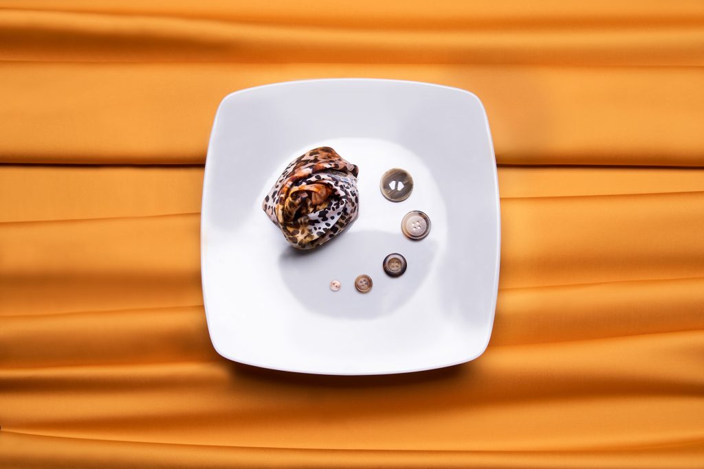 vittorio errico still life fotografia pubblicitaria photography alessandra landolfy fashion designer